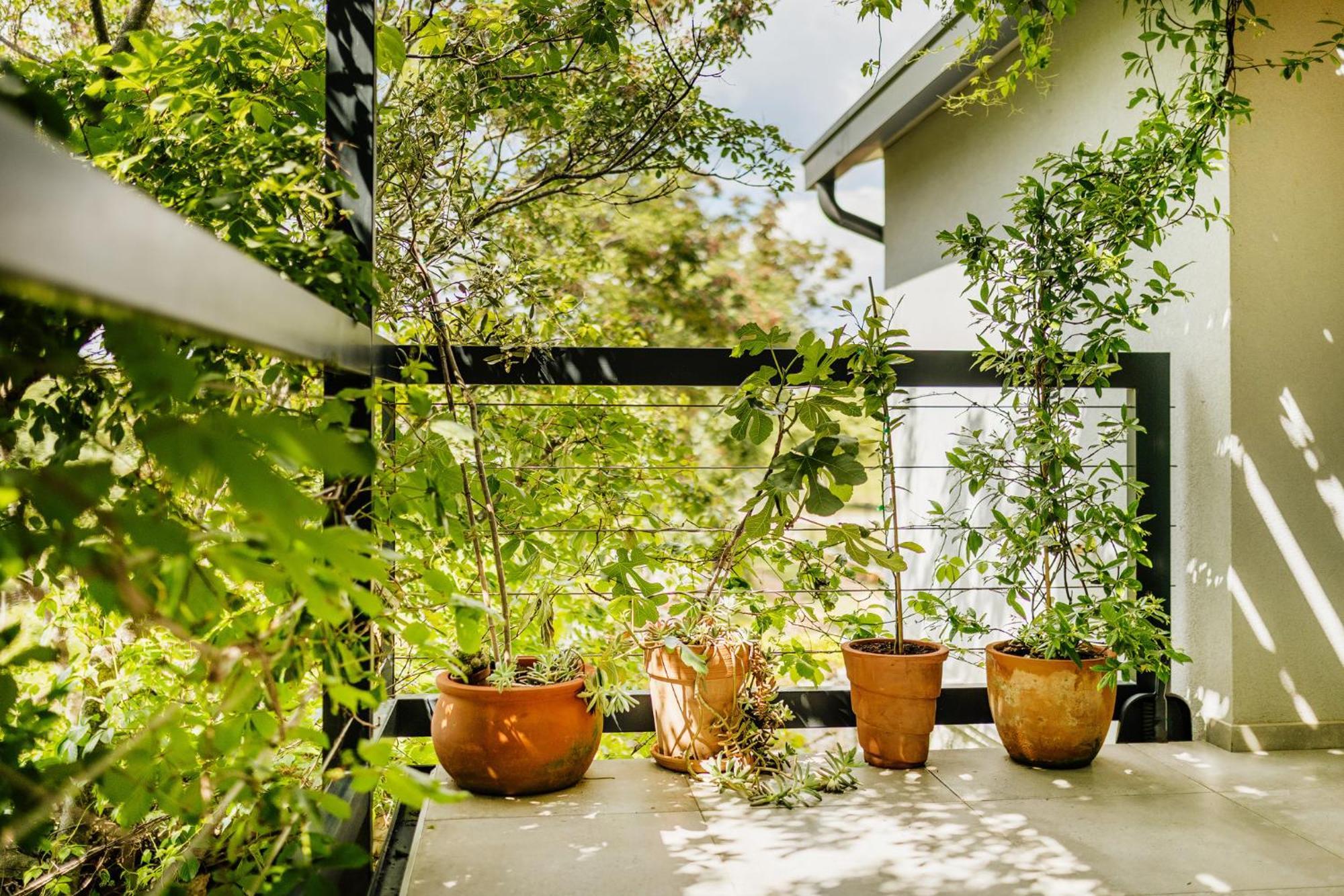 Peroj'S Green Oasis - Holiday Home Dış mekan fotoğraf